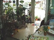 「フラワー＆グリーン創造」　（滋賀県栗東市）の花屋店舗写真2